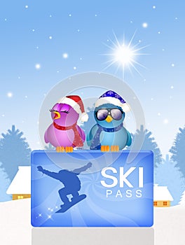Illustration of skipass