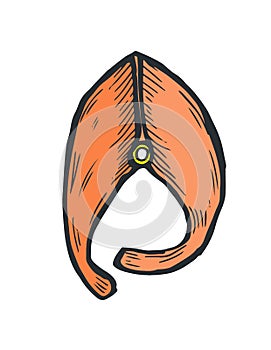Illustration of Slice of Fish