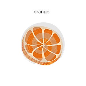 Illustration of slice of orange fruit isotated on white background. Hand drawn illustration