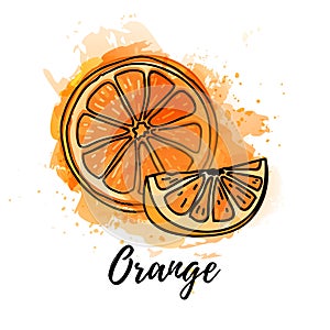 Illustration of slice orange fruit. Vector watercolor splash background. Graphics for cocktails, fresh juice design