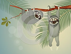 Sloths hanging on branch