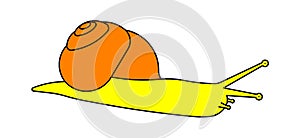 Illustration of snail with antennae sticking out, crawling, coloured