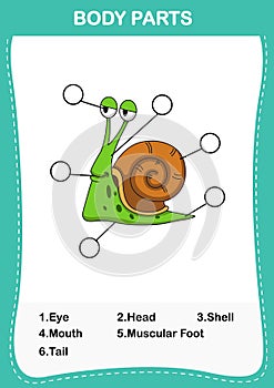 Illustration of snail vocabulary part of body