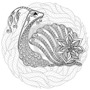 Illustration of a snail.