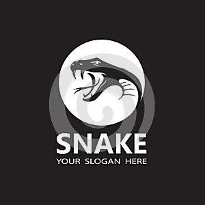 illustration of snake head