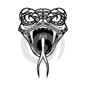 Illustration of a snake head. Vector