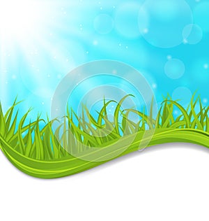 Spring natural card with green grass