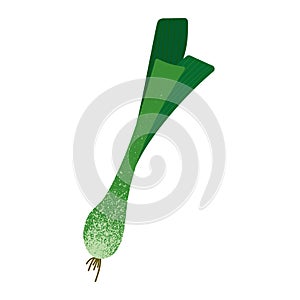 Illustration of spring onion vegetable isotated on white background. illustration with textures.