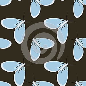 Illustration on a square background - stylized moths - graphics. Summer, insects, unbearable ease of life