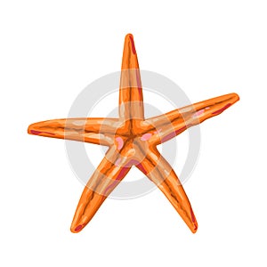 Illustration of starfish. Tropical underwater sea animal.