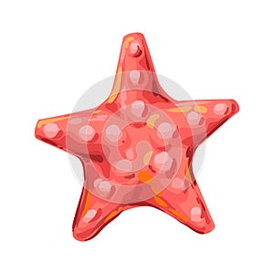 Illustration of starfish. Tropical underwater sea animal.