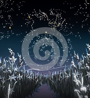 Illustration of a starry sky over a field