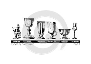 Illustration of Stemware types