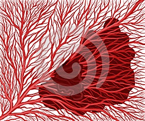 Illustration of stroke branching of the vascular capillary network