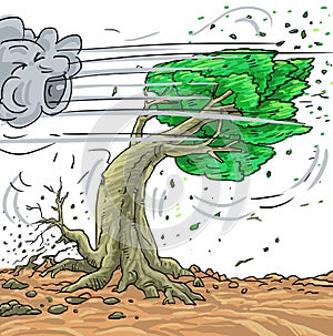 Illustration strong winds collapse the tree . Wind Blowing Leaves Off Tree.