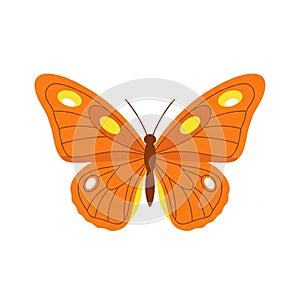 Is set against a plain white background emphasizing the bold colors and