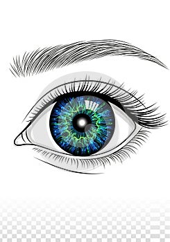Illustration of a stylized human eye,