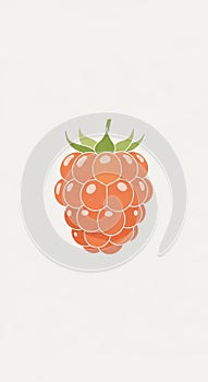 Illustration of a stylized raspberry with orange hues. Each drupelet is individually