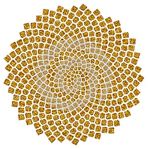 Girasol semillas dorado relación dorado espiral espiral 