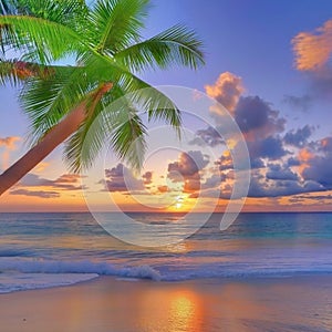 Illustration of the sunset, sunrise landscape in brazilian on the beach.