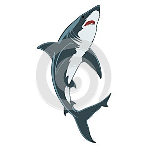 Illustration of a swimming shark.