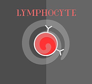 Illustration of T cell lymphocyte in human immune system