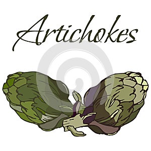 Illustration of Tasty Veggies. Vector Artichokes