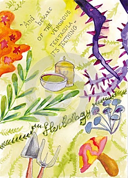 Illustration on the theme of Hogwarts faculties. Herbology