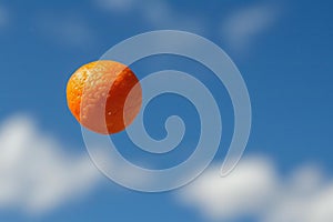There is an orange freese flying in the air, high quality, high resolution