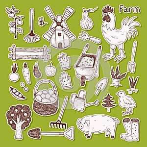 Illustration of the things and animals found at the farm on a green background.
