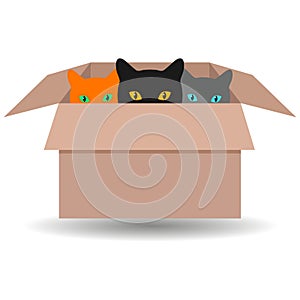 Illustration of three multi-colored cats in a box with shadow