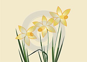 Illustration of three yellow daffodils with leaves isolated on light background. Vector graphic, Easter, Spring concept