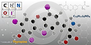 Illustration of Thyroxine Molecule isolated gray background