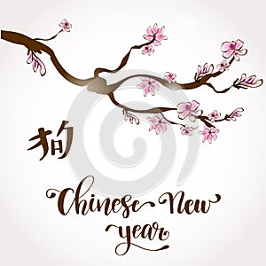 Illustration to Chinese New Year photo