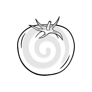 Illustration of a tomato in a hand drawn style.