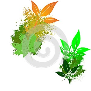 Illustration of the transition of tree leaves
