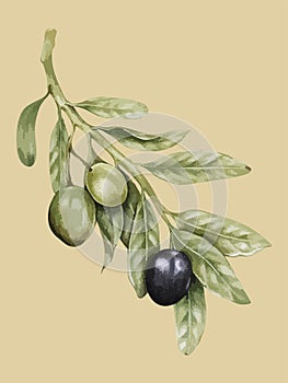 Illustration of tree branch with veggies