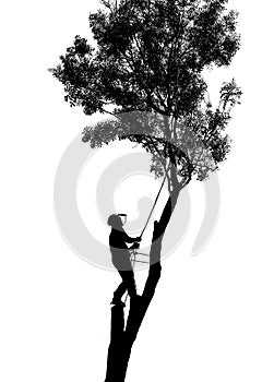 Illustration of a Tree Surgeon