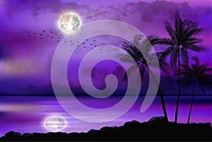 Illustration of tropical beach at night