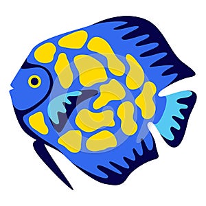 Illustration of tropical discus fish. Aquarium and sea animal.