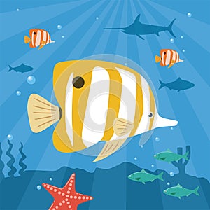 Illustration of tropical fish underwater. Copperband butterflyfish