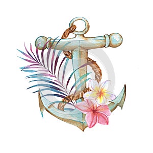 illustration of the tropical objects.