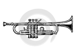Illustration of trumpet photo