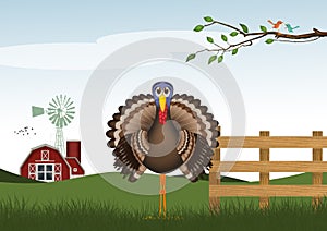 illustration of turkey in the farm