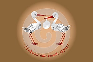 Illustration of two cute storks bringing the little bundle of joy