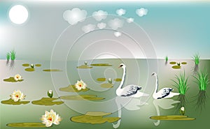 Illustration of two duck in the river