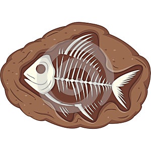 Underground fish fossil photo