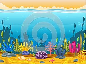 Underwater scene with tropical coral reef