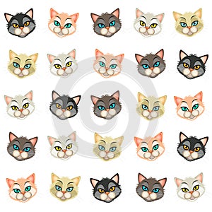 Various faces of kittens on white background