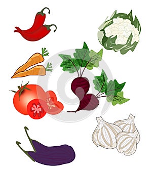 Illustration of various Vegetables.Vegetables Vector Illustration.